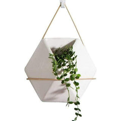 Geometric Hanging Terrarium Hexagon | Sage & Sill